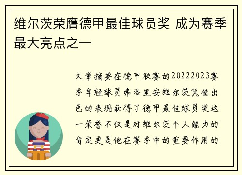 维尔茨荣膺德甲最佳球员奖 成为赛季最大亮点之一